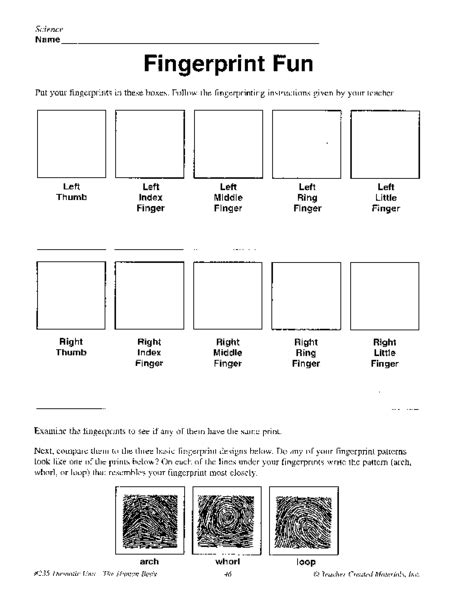 Fingerprint Comparison Worksheet