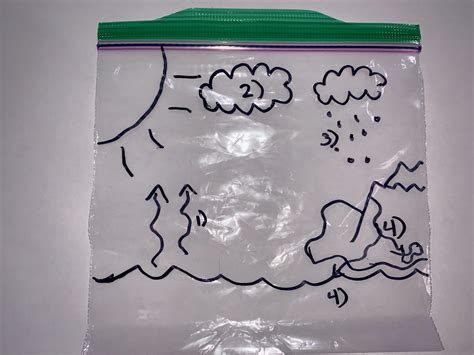 Water Cycle In A Bag Observation Sheet 5
