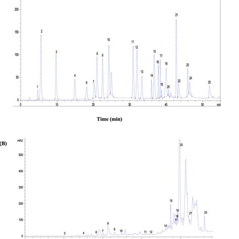 A Hplc Profile Of Phenolic Compounds As Standards At 280 Nm 1