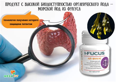 Ай-Фукус Йод Веган, i-Fucus → AURORA ᐈ Купить в Казахстане | Алматы ...