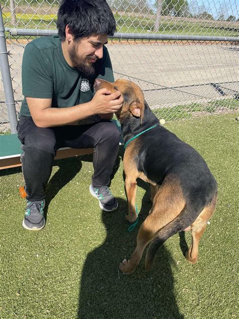 Officials explain what pasadena shelter funding will actually cover 36