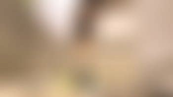 Toy Car Crush Porn Tube Video Clips Clips Sale