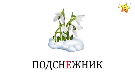 Весна Карточки Домана Времена года - Раннее развитие 0+ - YouTube