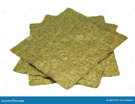 Nori stock photo. Image of sushi, dried, food, edible - 4667736