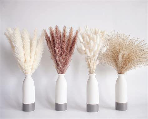 Natural Dried Pampas Grass Decor 100 Pcs Pampas Grass Contains White Bunny Tails Dried Flowers