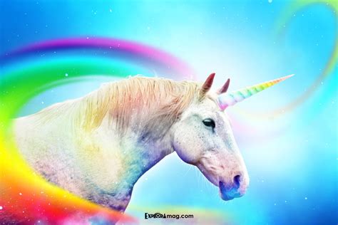 D A Internacional De Los Unicornios Explora Bookazine