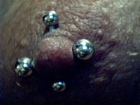 Pierced Nipples Porn Pictures XXX Photos Sex Images PICTOA