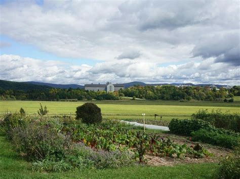 The Middlebury Campus