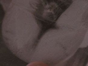 Caitlin Turner Nude Aznude