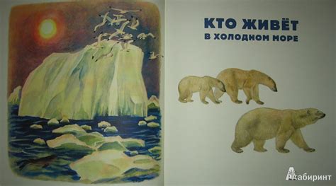 Книга: Кто в море живет - Святослав Сахарнов. Купить книгу, читать ...
