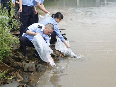 4万余尾鱼苗“安家”洛清江桂林广西壮族自治区农业农村厅