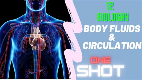 One Shot Of Body Fluids And Circulation By Acharyas Academy Youtube