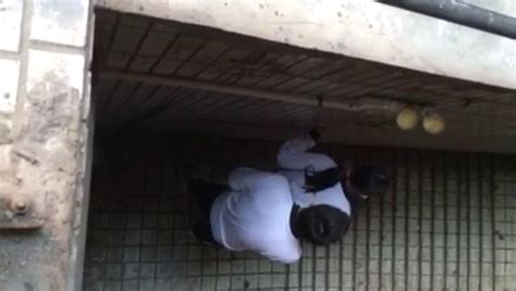 Quay lén cháu học sinh đang phang nhau tại câù thang trường học Clip Phốt Clip Hot