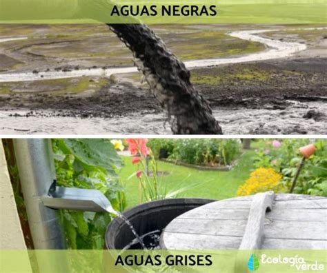 17 Tipos De Agua Clasificación Nombres Características Y Fotos