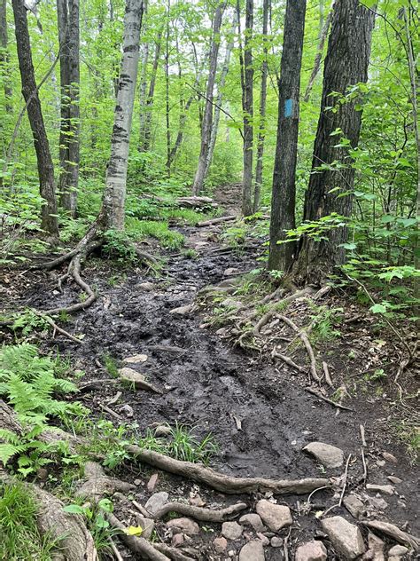 Two Popular Hiking Loops To Close For Upgrades WDIO