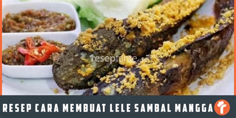 Resep Cara Membuat Lele Sambal Mangga Lezat Resep Tante