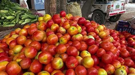 Pune Farmer Becomes Millionaire Amid Rising Tomato Prices Rediff