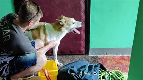 РБК Life | Путеводитель по свободному времени