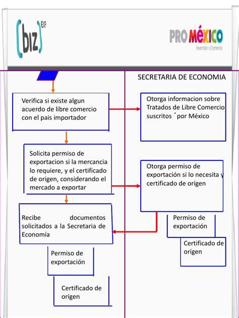 Flujograma De Transporte 2 Exportaciones Comercio