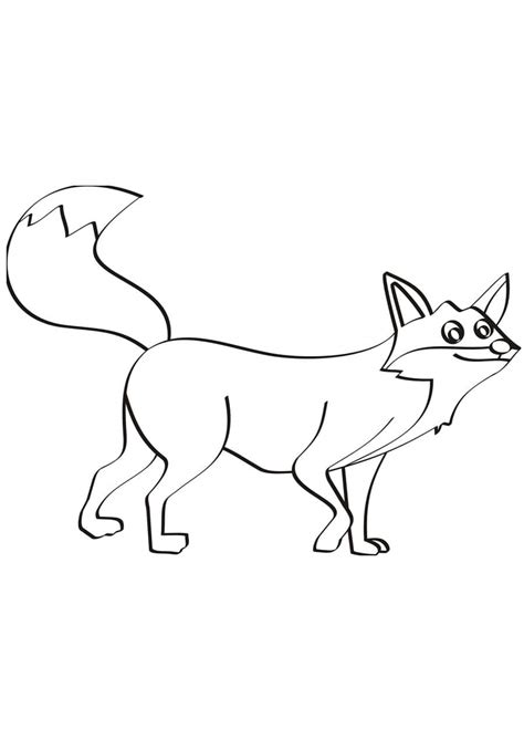 Песец раскраска (Много фото!) - drawpics.ru