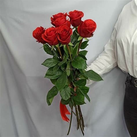 Алые розы ВЫСОКИЕ 70см