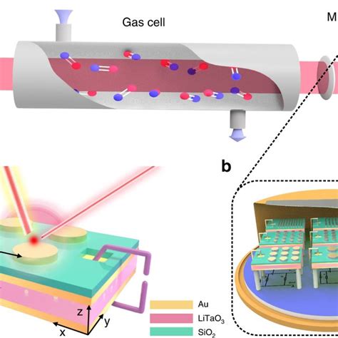 Illustration Of Pvdf Film And Device Preparation Process Step 1 The Download Scientific