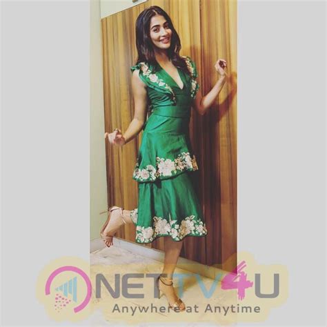 Actress Pooja Hegde Hot And Sexy Images 529345 Galleries HD Images