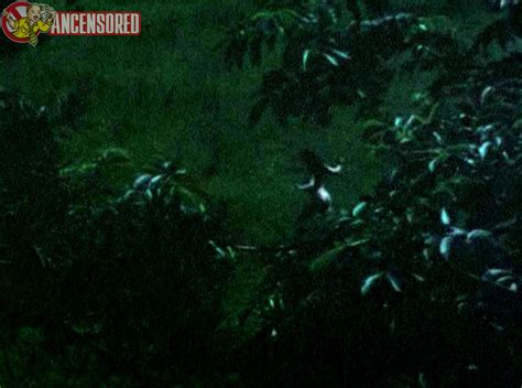 Naked Judi Dench In Langrishe Go Down