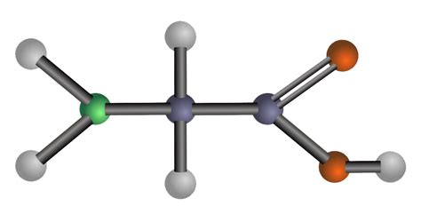 Amino Acid Structure PNG All