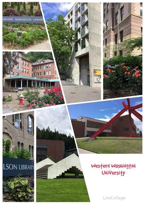 Western Washington University Magellan College Counseling