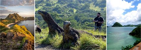 Komodo Dragon Adventure Tour | The Great Projects