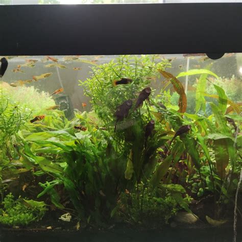 400 Liter Aqarium | eBay.de