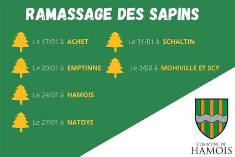 Ramassage Des Sapins De No L Hamois