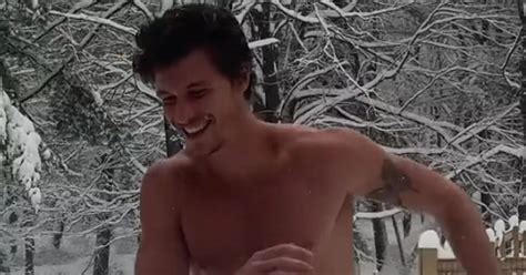 Shawn Mendes Sends Fans Wild As He S Spotted Naked Sledging During Downtime The Mirror