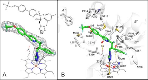 A Structural Formula Top And 2fo Fc Electron Density Map Bottom