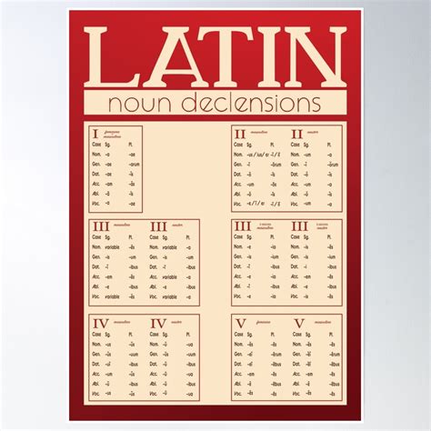 latin noun declensions chart poster   nouns chart latin