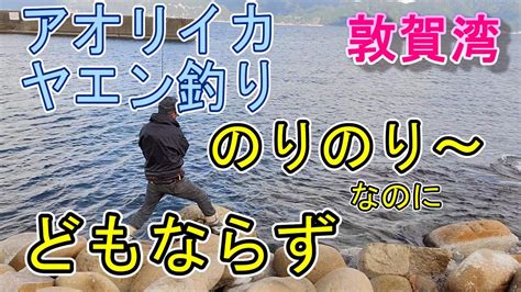 【アオリイカ ヤエン釣り】のりのりなんだけどねぇ・・・ 海釣り イカ釣り Youtube