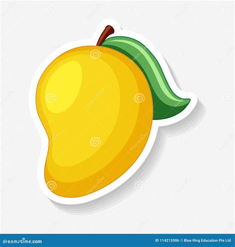 Sticker Template For Yellow Mango Stock Vector Illustration Of