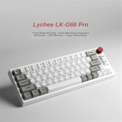 2023 New Lychee G66 G66Pro V2 RGB Hot Swap Rgb Gasket Mechanical Keyboard South Facing LED Hot