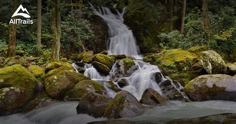 Best waterfall trails in Waynesville | AllTrails