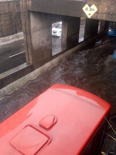 Chuva Deixa Ruas Alagadas E Causa Quedas De Rvores Em Juiz De Fora