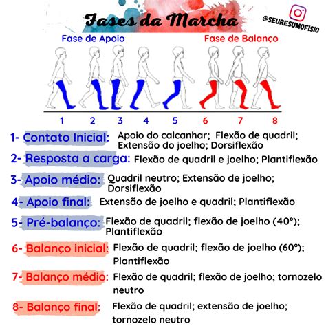 Fases De La Marcha Mind Map Images And Photos Finder