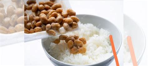 Стартер для выращивания Натто (Bacillus subtilis) купить в Москве ...