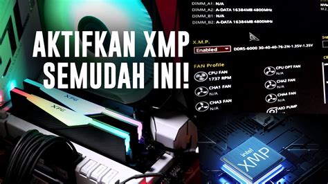 Tutorial Xmp Apa Itu Xmp Dan Apa Bedanya Dengan Overclock Ram Youtube