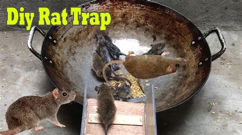 Diy Rat Trap With Oil And Water 🐀 10 Mice In Trapped 1 Hour 🐭 Mouse Rat Trap👍 How To Make Rat