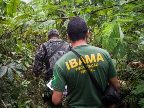Ibama Serviços Online 2