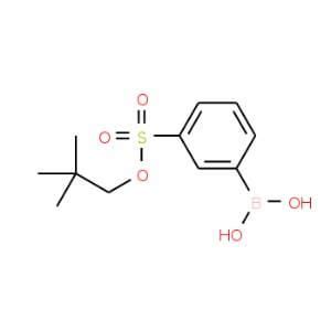 Neopentyloxysulfonyl Phenylboronic Acid Cas Scbt