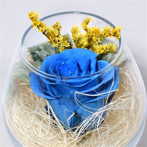 Стабилизированный мох и растения в колбе / Магазин Эко декора