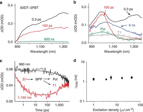 Charge And Triplet State Dynamics Monitored With Femtosecond Transient Download Scientific