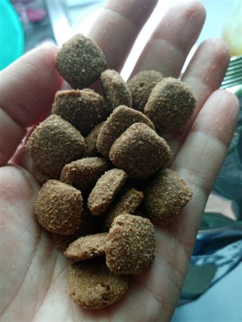 Корм для собак Frais: отзывы, разбор состава, цена - ПетОбзор